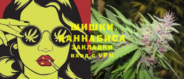 бошки Мегион