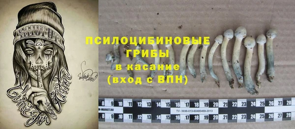 бошки Мегион